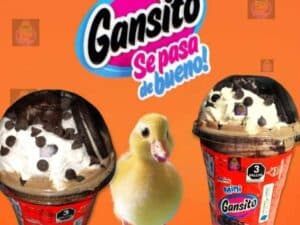 Gansito Gansito